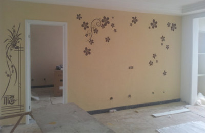 硅藻泥装饰涂料 环保与美观的完美融合